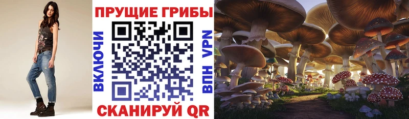 Псилоцибиновые грибы ЛСД Рошаль